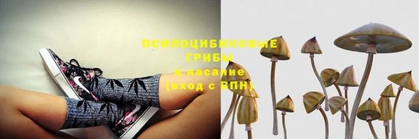 трава Абаза