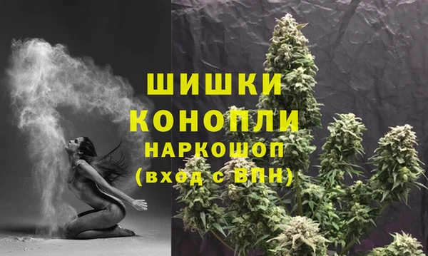 трава Абаза