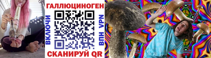 OMG ссылки  Назрань  Псилоцибиновые грибы Psilocybine cubensis 